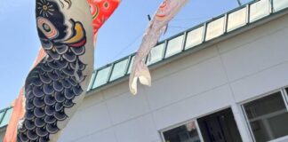 こいのぼりさん こんにちは!