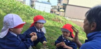 今年もニョキニョキ出てきたぞ!